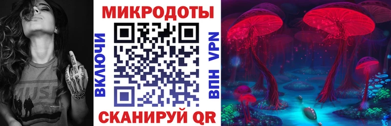 Псилоцибиновые грибы Psilocybine cubensis  Азов 